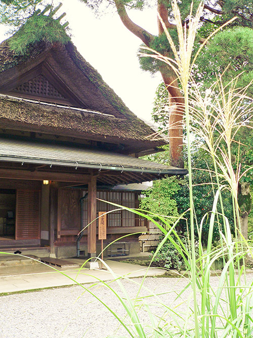 庭園の風景