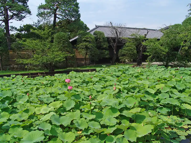 庭園の風景